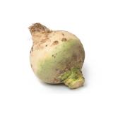 Bodenkohlraben (Chou- Raven)