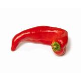 Hornpeperoni farbig