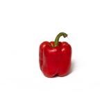 Peperoni rot