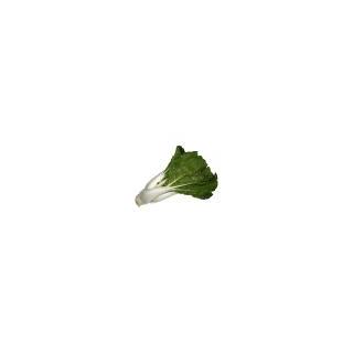 Pak-Choi (sporadisch)
