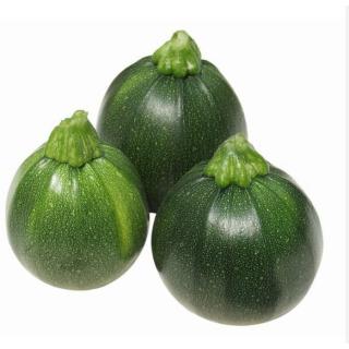 Zucchetti rund, grün