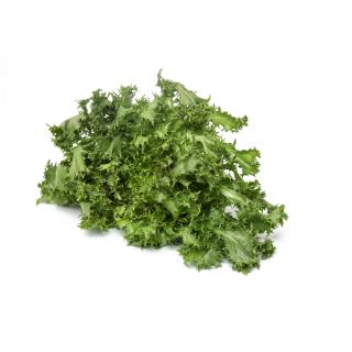 Frisée
