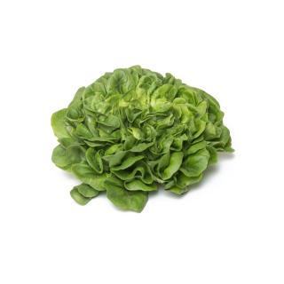Salanova grün