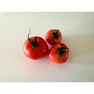 Tomate Berner Rose