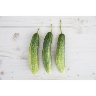 Cornichon (Essiggurke), De Bourbonne