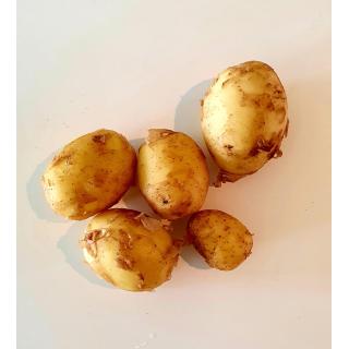 Frühkartoffeln gewaschen