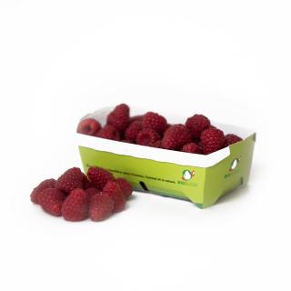 Himbeeren (sporadisch)