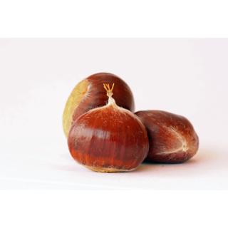 Maroni