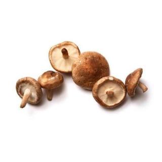 Shiitake