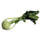 Kohlraben