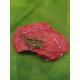 Angus Beef knochengereift Filet 200-250g