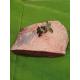 Angus Beef knochengereift Huftdeckel  ca.1kg-1.2kg