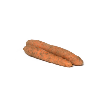 Karotten ungewaschen