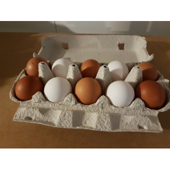 10er Pack Eier ab 53g