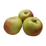 Äpfel Gravensteiner