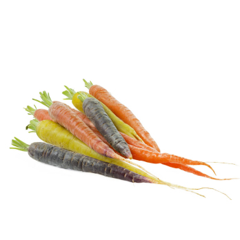 Karotten-Abo L