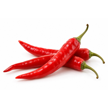 Chili- Schoten
