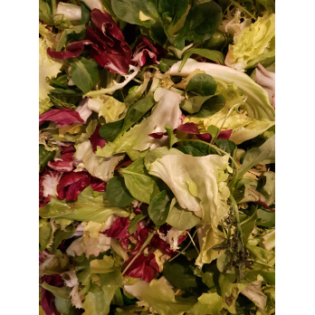 Mischsalat