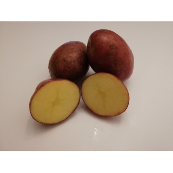 Kartoffeln Alouette (eher mehligkochend)