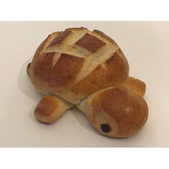 Schildkörtli 250gr Bio